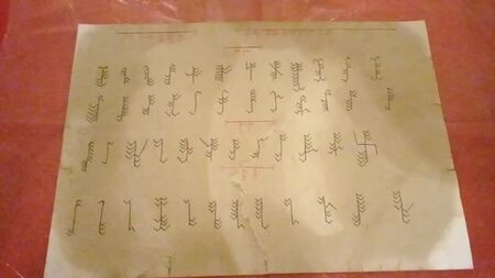 LES RUNES SLAVES DE SVAROG/LES RUNES DE BELKA ! Alexandre Pichouev