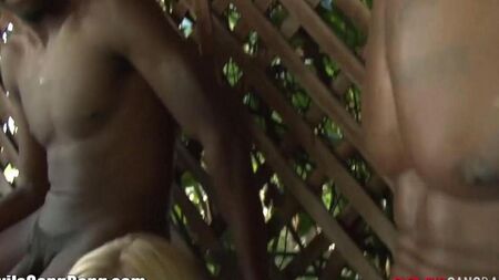 Les Noirs ont baisé une blonde