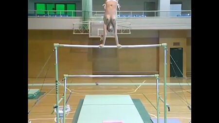 La gymnaste roumaine Corina Ungureanu s'entraîne nue