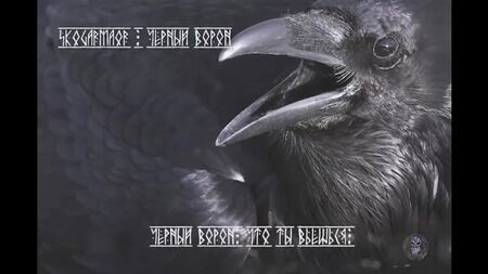 Skogarmaor - Black Raven (vidéo avec les paroles)
