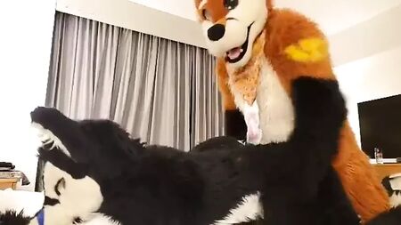 jouer en fursuit avec un ami