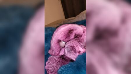 Éjaculation sur de la fourrure de chinchilla, deux fois de suite