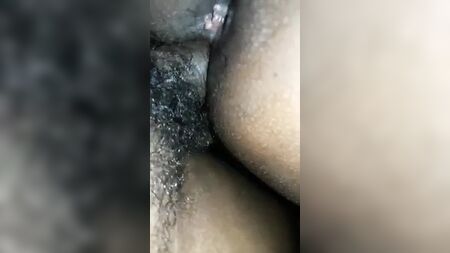Le lait maternel d'une tante tamoule